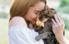Сколько лет вашему коту: признаки, которые не солгут