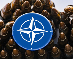 НАТО не гарантирует автоматический ответ, если РФ нападет на Эстонию