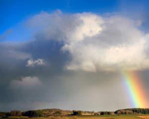 Частину країни накриють дощі з грозами: прогноз на середу