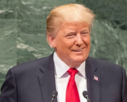 "Хочет больше, чем просто Украину": Трамп заявил про амбиции Путина