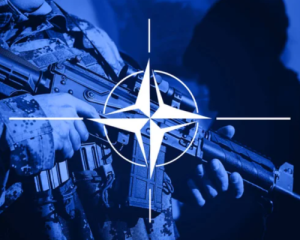 В случае нападения России война с НАТО будет совсем другой - директор по ядерной политике Альянса