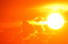Страну охватит сильная жара до +39°С