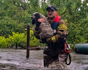 Ливни накрыли Львовскую область: шокирующие фото с места непогоды, продолжается эвакуация жителей