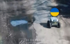 Трамп наконец прозрел, а украинские дроны кошмарили российские аэропорты