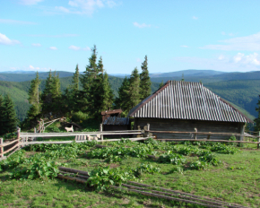 Затерян среди гор и тишины: чем поражает украинский хутор Перкалаба