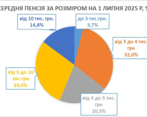 Гетманцев назвал среднюю пенсию недостаточной