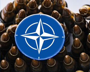 Вісім країн приєдналися до ініціативи зі зброї для України