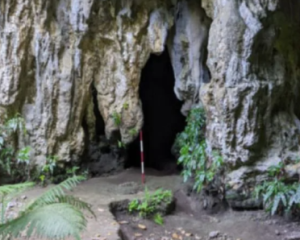 Археологи нашли на Гуаме самый древний рис в Тихом океане