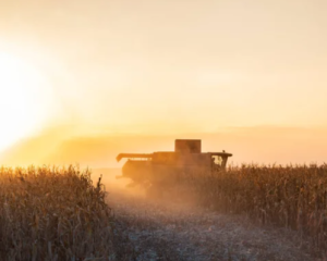 Агросектор України зростає: на кожне закрите підприємство відкривається 2,5 нових