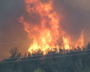 Пожежі в Туреччині: вогонь підбирається до одного з найбільших міст країни