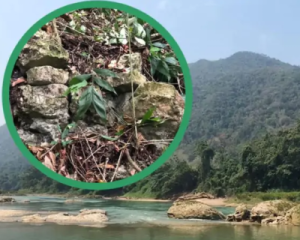 Джунгли скрыли город, избежавший испанского контроля