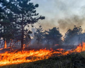 У Канаді оголосили евакуацію через лісову пожежу в Британській Колумбії