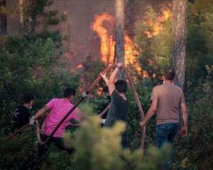 Пожежники взяли під контроль лісові пожежі в Південній Європі