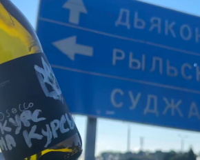 Україна довела, що здатна  бити ворога на його землі - Зеленський у річницю Курської операції