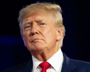 Європа спантеличена планами зустрічі Трампа з Путіним - WP