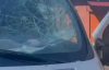 В представників ТЦК летіло каміння і гайковий ключ: натовп на Волині виступив проти "бусифікації"