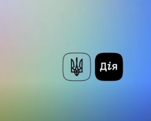 З 16 по 18 серпня в &quot;Дії&quot; не працюватиме частина сервісів через оновлення реєстрів