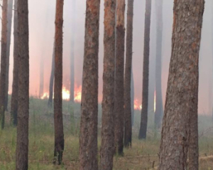 ЄС охопили наймасштабніші лісові пожежі за всю історію