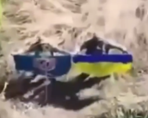 Морпіхи та штурмовики утримали Зелений Гай у День державного прапора