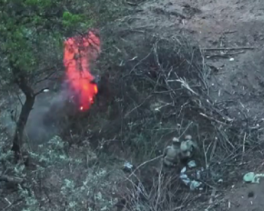 На Донеччині українські воїни та РДК взяли у полон 16 росіян