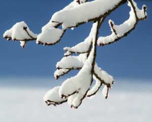 Украинцев предупредили, что РФ хочет использовать зиму как оружие