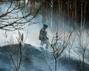 Міноборони змінило порядок виплат сім&#039;ям загиблих військових