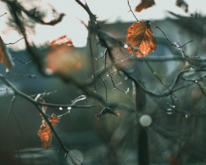 Атмосферный фронт принесет холод, ветер и дожди