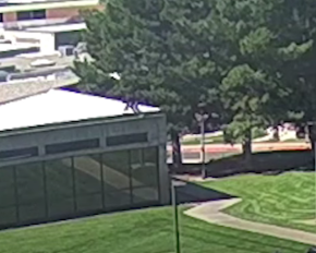 ФБР оприлюднило відео втечі підозрюваного у вбивстві Кірка