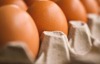 В Україні зросли ціни на яйця через низку факторів