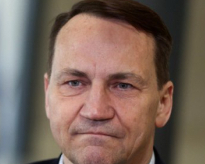 Проти брехуна Путіна працює лише сила - Сікорський