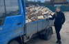Імітація країни. За участь у виборах росіянам пропонували дрова