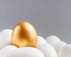 Завершено слідство щодо схем розкрадання на закупівлях продуктів для армії - НАБУ