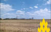 Партизани розвідали завод "Титан" у Криму