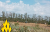 Окупанти розосереджують склади після удару ЗСУ по Луганщині