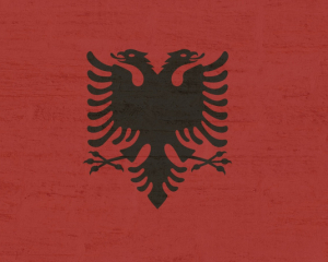 Албания сделала заявление об ООН и мире в Украине