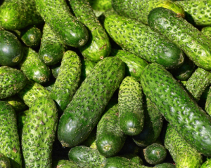 Огірки по 50 грн/кг: теплична продукція б'є рекорди