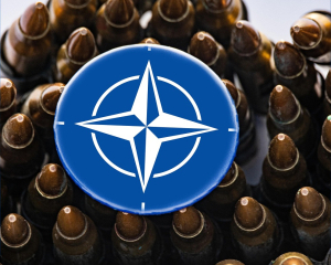 Якщо НАТО зіб&#039;є російський літак, то це буде початок війни - посол РФ