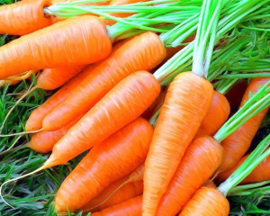 Морква &quot;кусається&quot;: ціни на овоч злетіли на чверть