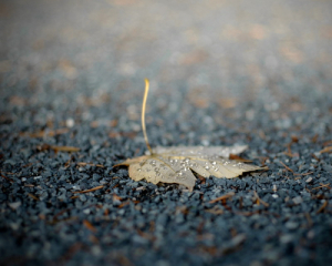 В Україні кардинально зміниться погода