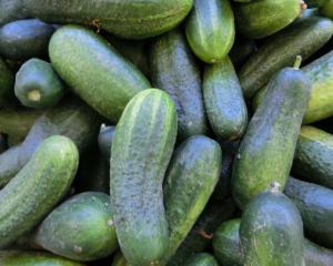 Ціни на огірки в Україні продовжують зростати - аналітики