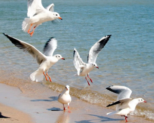 Какая мелочь сегодня может испортить всю дальнейшую жизнь: запреты дня