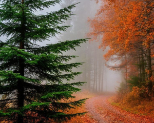 Что положить на стол сегодня, чтобы было изобилие в доме: приметы дня