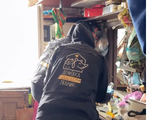 Тіло жінки пролежало два місяці у зачиненому будинку. Разом з нею були мертві коти