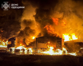 Показали страшні наслідки атаки дронів РФ на Одещину