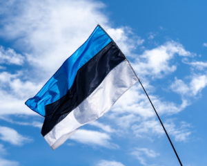 Естонія закрила кордон через рух озброєних людей з боку РФ - ЗМІ