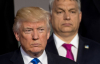 Будапешт здувся. Трамп оскаженів і хоче взяти Путіна за барки та вирішальне слово за Китаєм