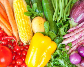 Как цвет продуктов влияет на организм и настроение: эти цвета одолевают осеннюю хандру