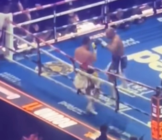 Вордлі здобув видовищну перемогу над Паркером та звернувся до Усика