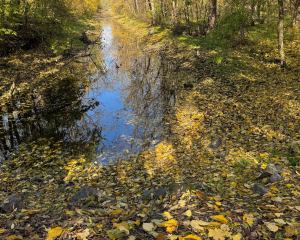 Синоптик сделала важное предупреждение - прогноз на ближайшие дни