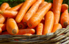 Цены на морковь выросли, фермеры остановили продажу